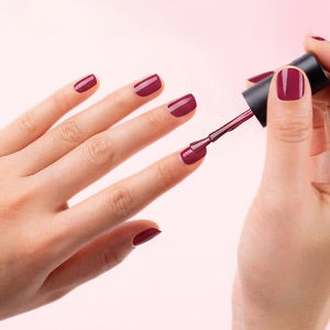 Shellac richtig auftragen