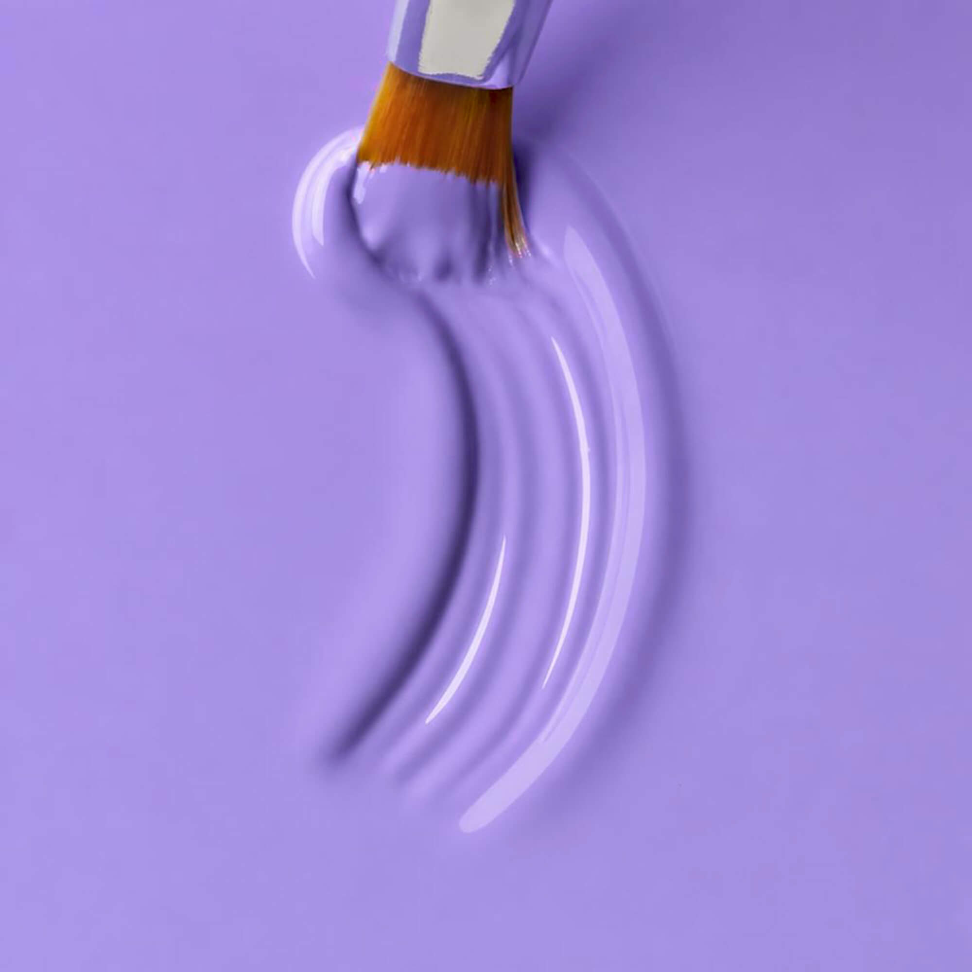 Color Gel Orchid Orchester